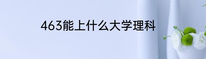 463能上什么大学理科