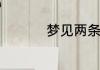 梦见两条大狗什么意思