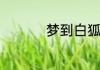 梦到白狐狸意味着什么