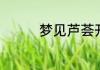 梦见芦荟开花是什么预兆