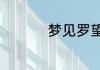 梦见罗望子是什么预兆