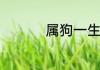 属狗一生的命运怎么样