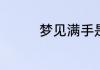 梦见满手是血是什么意思