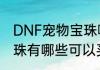 DNF宠物宝珠哪里能买呢DNF宠物宝珠有哪些可以买