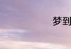 梦到车被偷了