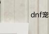 dnf宠物怎么封印
