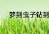 梦到虫子钻到皮肤里预示着什么