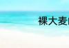 裸大麦的意思是什么