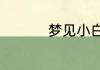 梦见小白蛇是什么意思