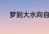 梦到大水向自己涌来是什么预兆
