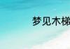 梦见木梯子是什么意思