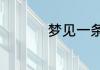 梦见一条白蛇什么征兆