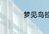 梦见鸟拉屎在自己头上
