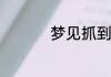 梦见抓到鱼是什么征兆