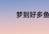 梦到好多鱼和水预示着什么