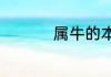 属牛的本命佛是哪尊佛