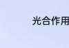 光合作用的化学方程式