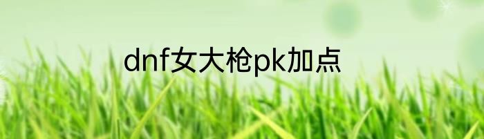 dnf女大枪pk加点