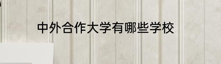 中外合作大学有哪些学校