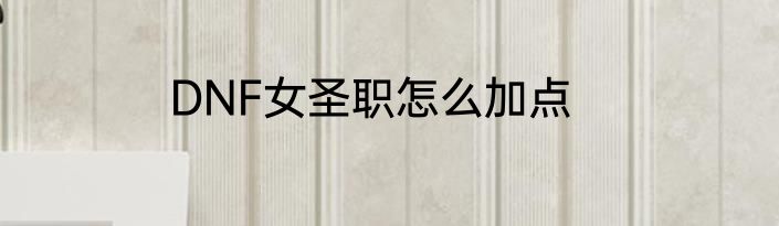 DNF女圣职怎么加点