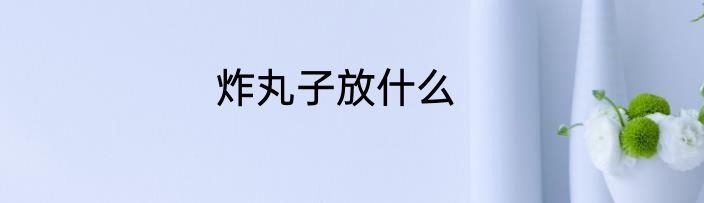 炸丸子放什么