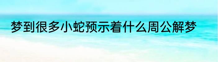 梦到很多小蛇预示着什么周公解梦