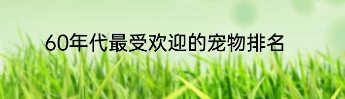 60年代最受欢迎的宠物排名