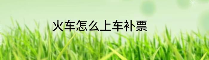 火车怎么上车补票