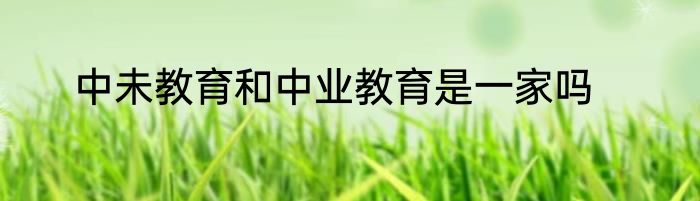 中未教育和中业教育是一家吗