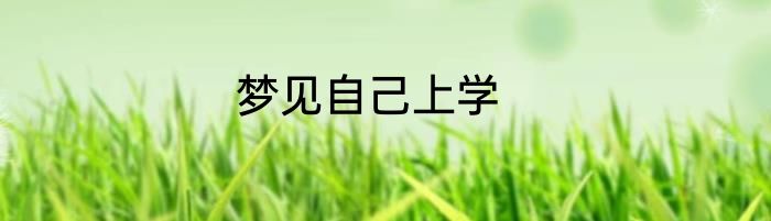 梦见自己上学