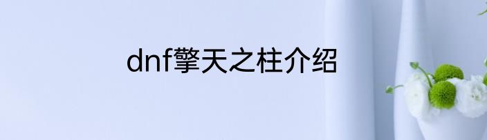 dnf擎天之柱介绍