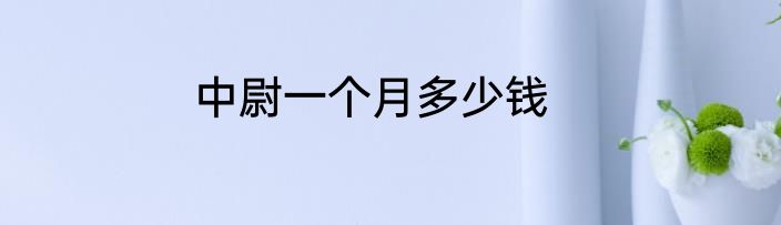 中尉一个月多少钱