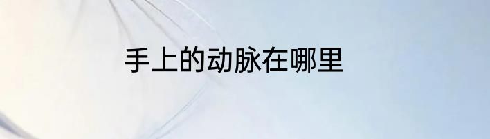 手上的动脉在哪里