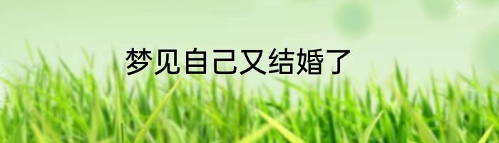 梦见自己又结婚了