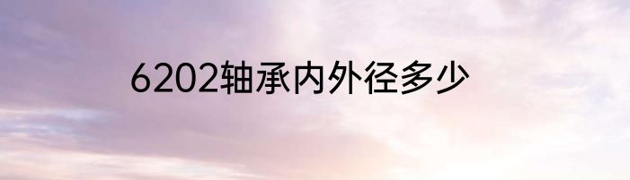 6202轴承内外径多少
