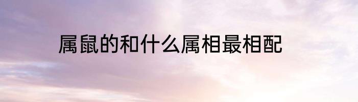 属鼠的和什么属相最相配