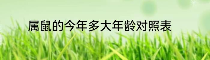 属鼠的今年多大年龄对照表