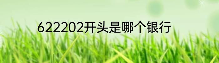 622202开头是哪个银行
