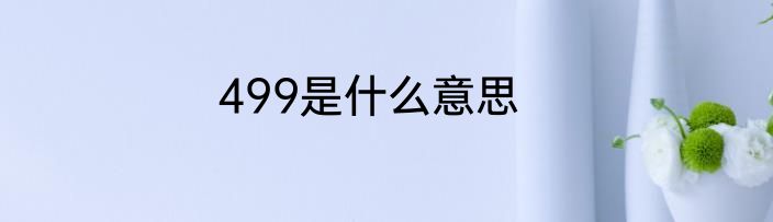 499是什么意思