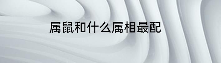 属鼠和什么属相最配
