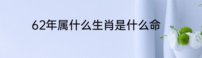 62年属什么生肖是什么命