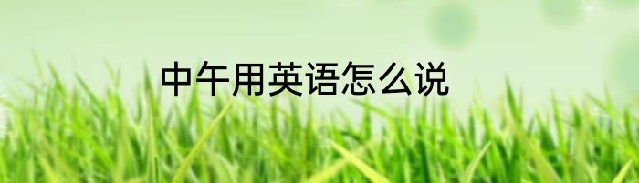 中午用英语怎么说