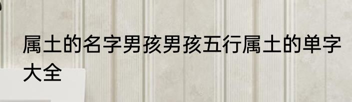 属土的名字男孩男孩五行属土的单字大全