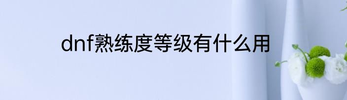 dnf熟练度等级有什么用