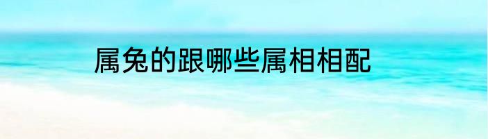 属兔的跟哪些属相相配