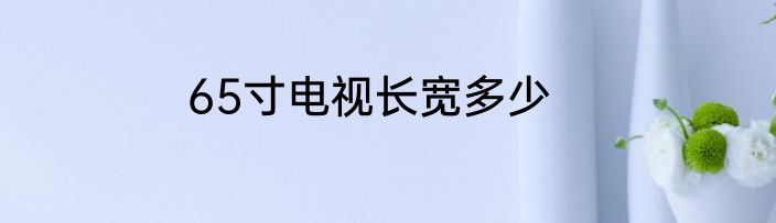 65寸电视长宽多少