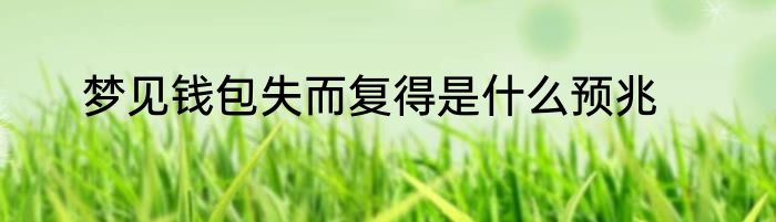 梦见钱包失而复得是什么预兆