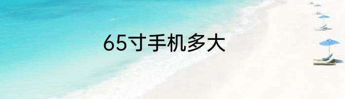 65寸手机多大