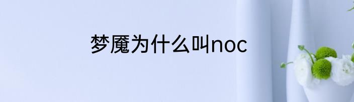 梦魇为什么叫noc