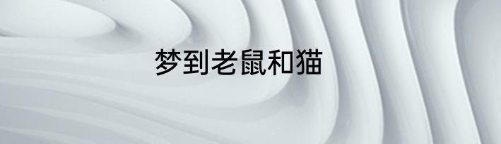 梦到老鼠和猫